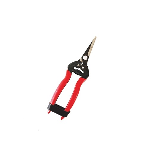 张家港Fruit Scissors GP-5103B